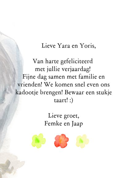 Verjaardagskaart tweeling met olifantjes 3