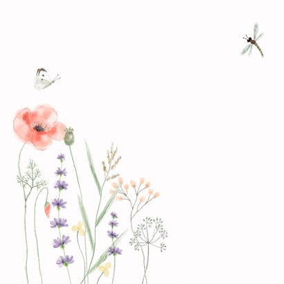 Verjaardagskaart veldbloemen vlinder bij en libelle 2