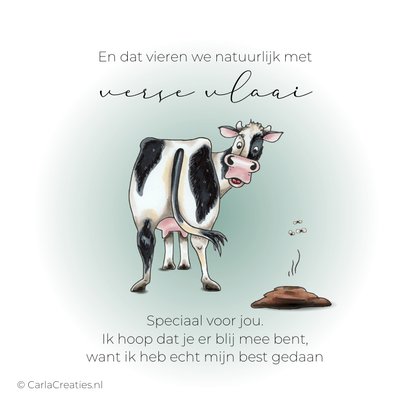 Verjaardagskaart verse vlaai grappig 2