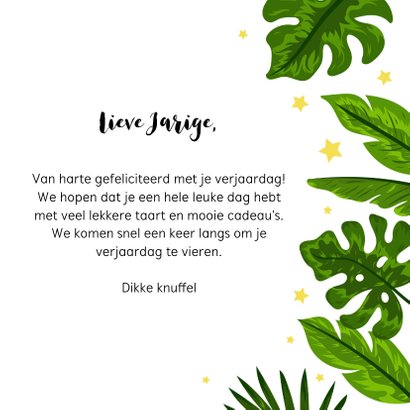 Verjaardagskaart vrolijke tijger jungle voor kind 3