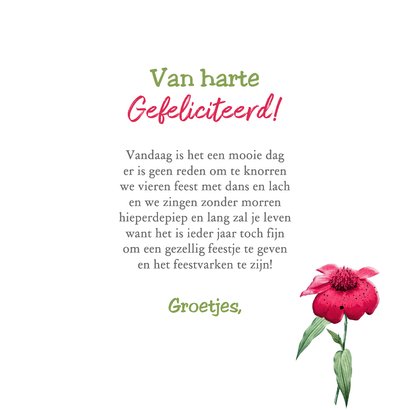 Verjaardagskaart vrolijke verjaardag varken 3