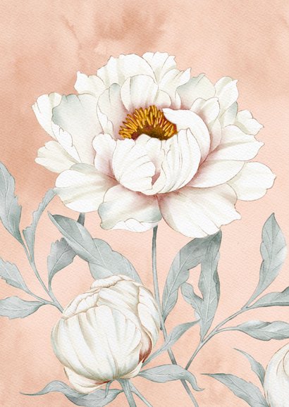 Verjaardagskaart witte pioenrozen 2