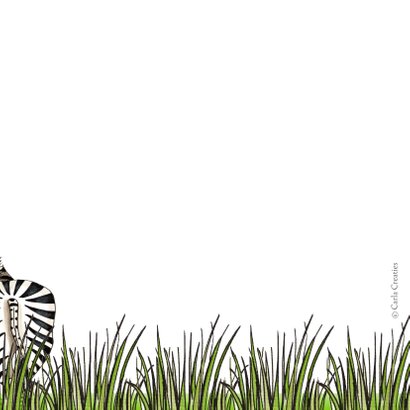 Verjaardagskaart zebra met wegwijzer 2