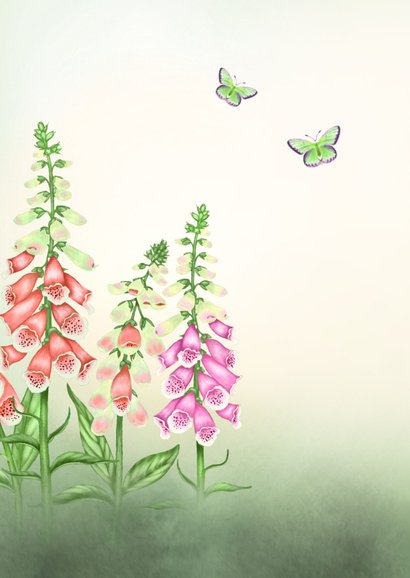 Verjaardagskaart zomerbloemen en vlinders 2