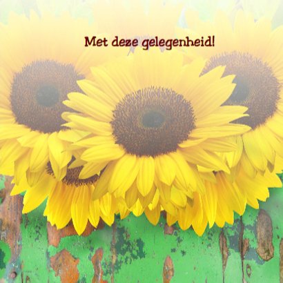 Verjaardagskaart Zonnebloemen met hout en felicitatie 3