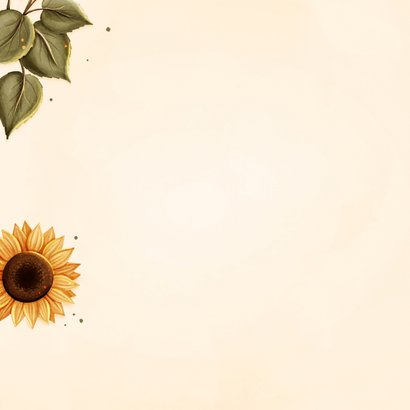 Verjaardagskaart zonnige verjaardag met zonnebloemen 2