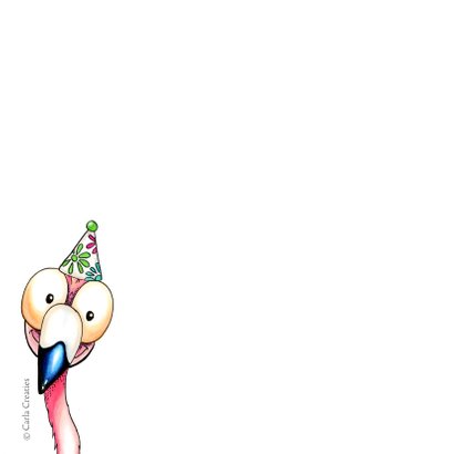 Verjaardagskaarten flamingo van harte 2