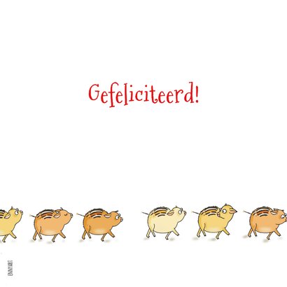 Verjaardagskaartje een everzwijntje is jarig 2