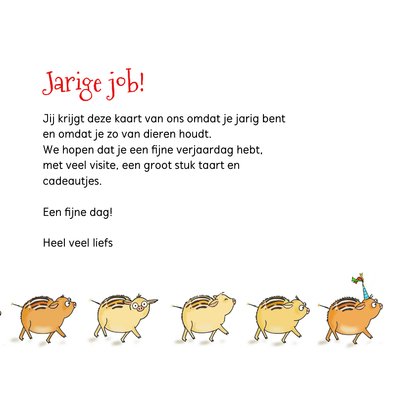 Verjaardagskaartje een everzwijntje is jarig 3