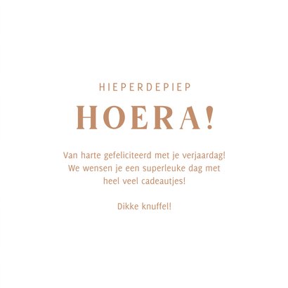 Verjaardagskaartje met vliegtuigje in naturelkleuren 3