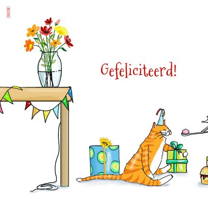 Verjaardagskaartje rode kater is jarig 2