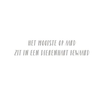 Verlies Poes - poes met gestippeld achtergrond 2