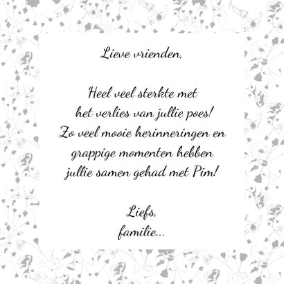 Verlies van een poes, sterktekaart 3