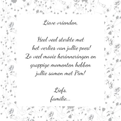 Verlies van een poes, sterktekaart 3