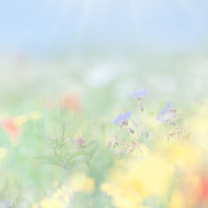 Vertel het met zomerbloemen 3
