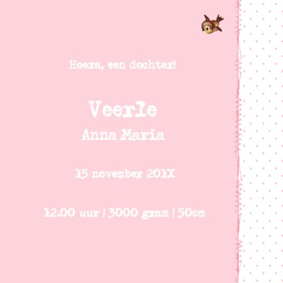 Vintage Geboortekaarje Hertje Veerle 3