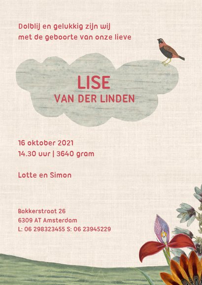 Vintage geboortekaartje met dierenstapel voor een meisje 3