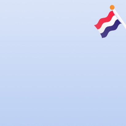 Vlag met tas 3