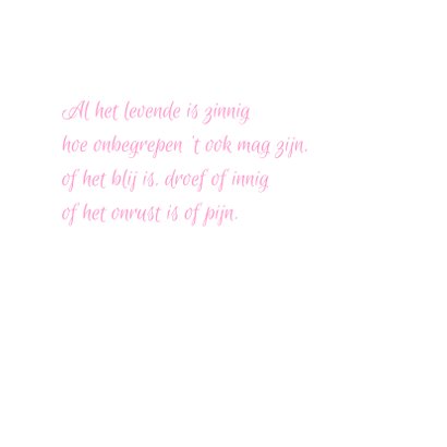 vlinder roze condoleancekaart 3