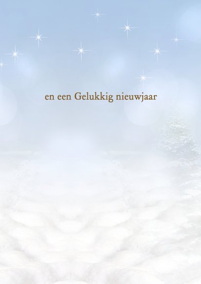 Vogelhuisje in de sneeuw -staand- 3