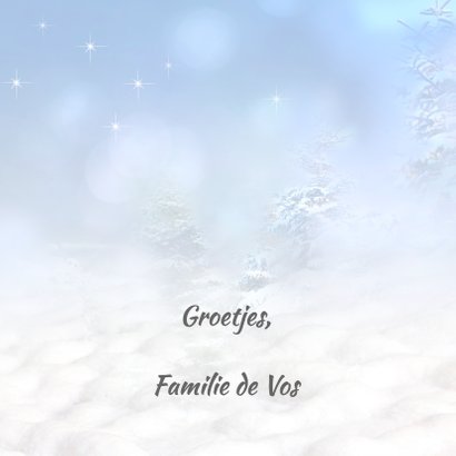 Vogelhuisje in de sneeuw 3