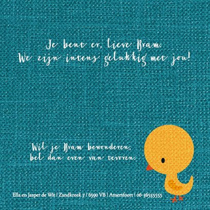 Vogeltje geel op blauw jongen 3