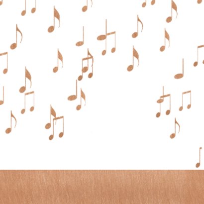 Volkswagen Pickup Orkest koper 2