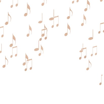 Volkswagen Pickup Orkest koper 2