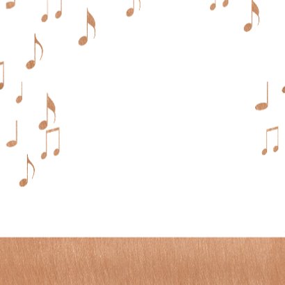 Volkswagen Pickup Orkest koper 3
