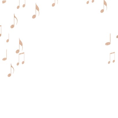 Volkswagen Pickup Orkest koper 3