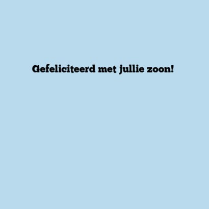 Vosje jongen 3