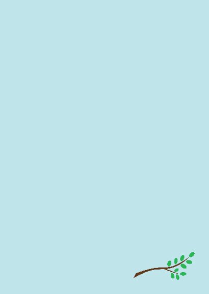 Vredes duif blauw 3