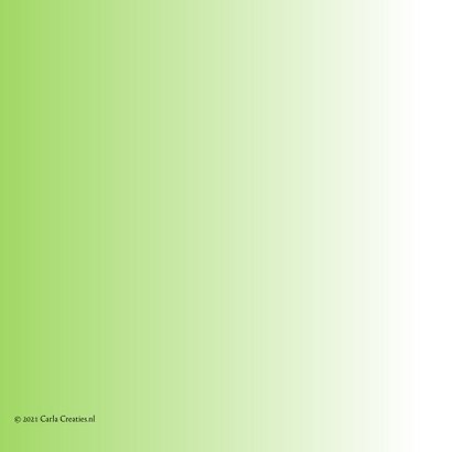 Vriendschap kaart lettuce always be friends 2