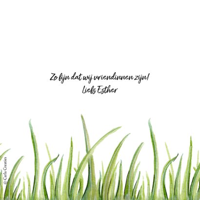 Vriendschap kaarten lieveheersbeestje laat scheten 3