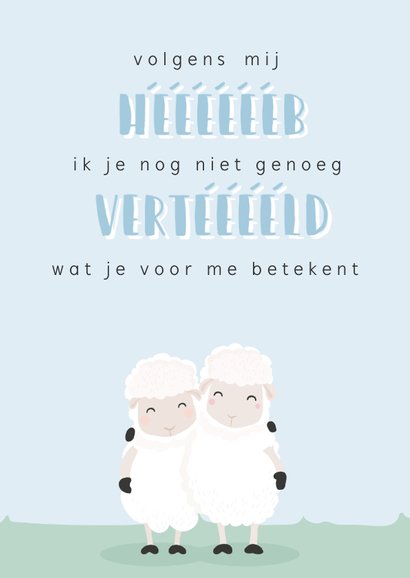 Vriendschapskaart met grappige illustratie van 2 schapen. 2