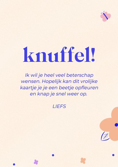 Vrolijk beterschapskaartje met bloemen en vlinders 3