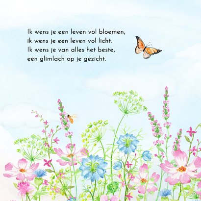 Vrolijke bloemenweide met vlinders 2
