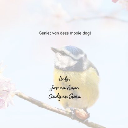 Vrolijke felicitatie met vogels 3