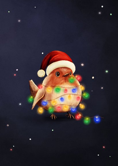 Vrolijke kerst verjaardagskaart roodborstje met lampjes 2