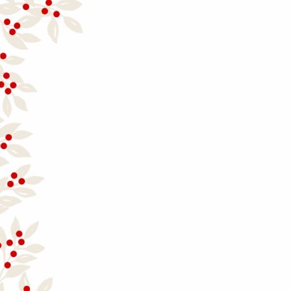Vrolijke kerstkaart foto kersttakken 2