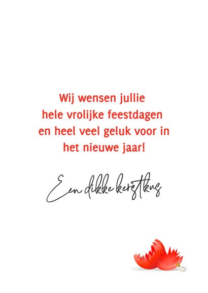 Vrolijke kerstkaart met kat en lichtjes 3