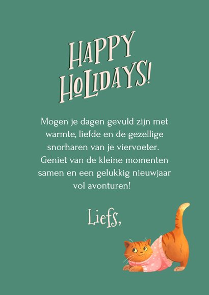 Vrolijke kerstkaart met katten in kersttrui 3