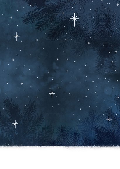 Vrolijke kerstkaart met teckel en roodborstjes en foto Achterkant