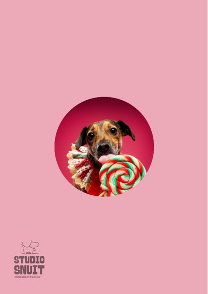 Vrolijke kerstkaart van hondje met lolly en kraagje 2