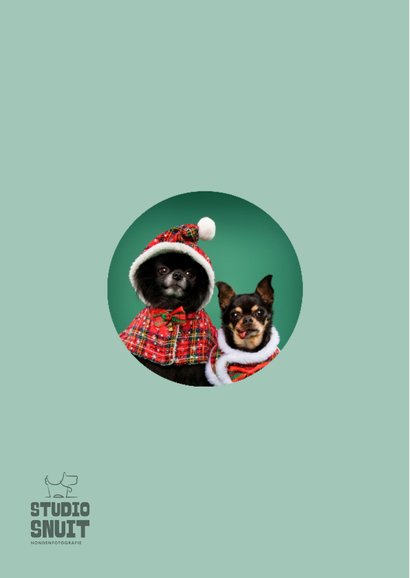 Vrolijke kerstkaart van hondjes met kerstkleding 2