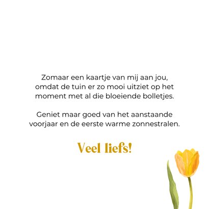 Vrolijke voorjaar wenskaart lieve groetjes tulp narcis 3