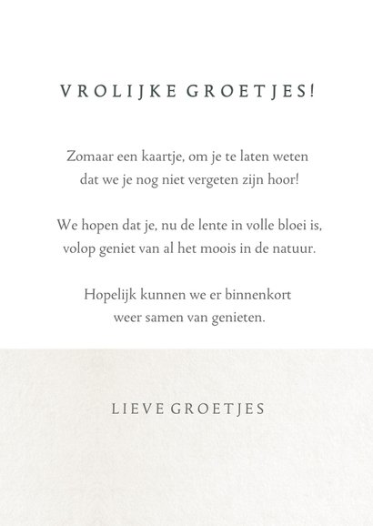 Vrolijke zomaar kaart met een fleurig boeket bloemen in vaas 3