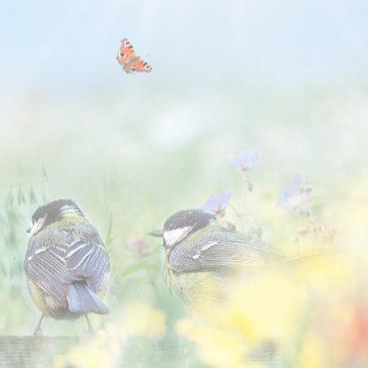 Vrolijke zomer 3