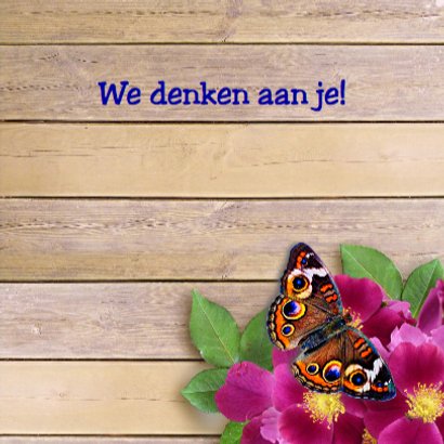 Warme beterschapskaart met wilde rozen en vlinders 3
