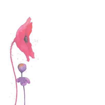 Warme bloemenwensen 2